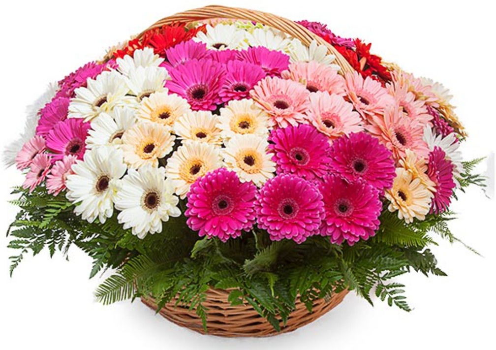 Купить цветы Корзина из гербер